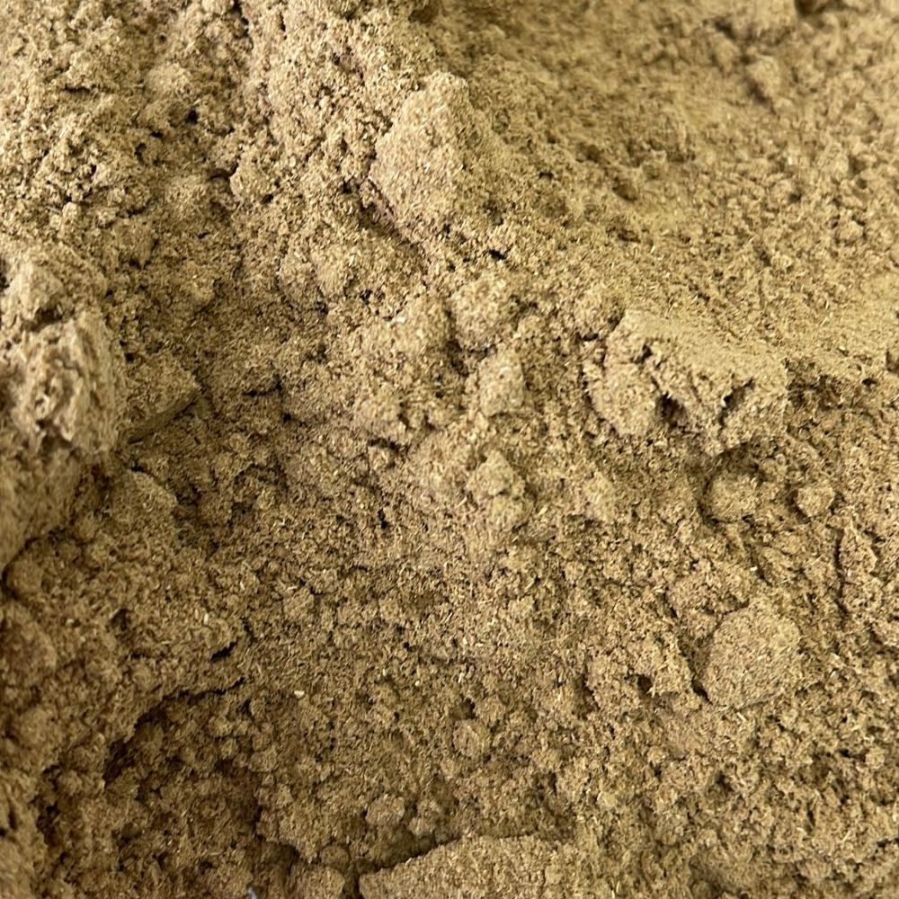 Coriander Ground
