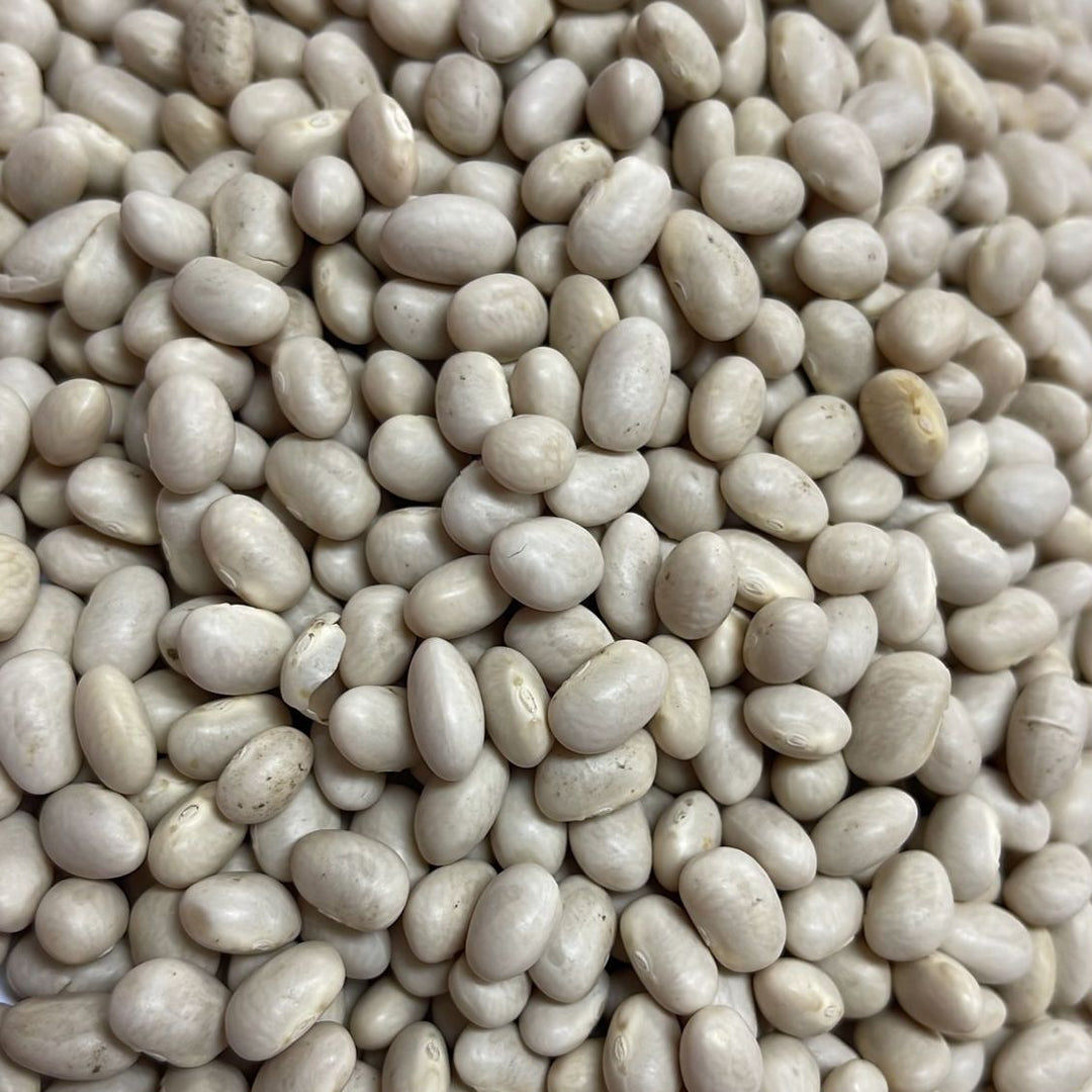 Navy/Haricot Beans