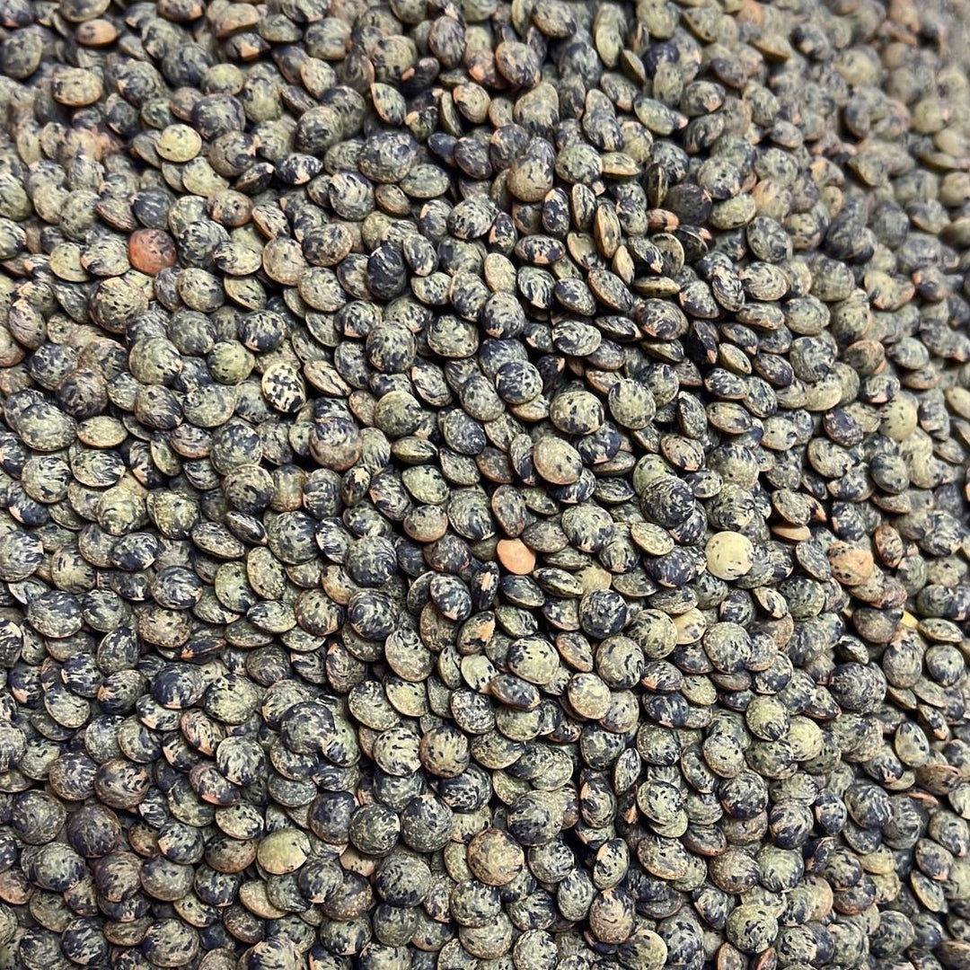 Puy/French Green Lentils