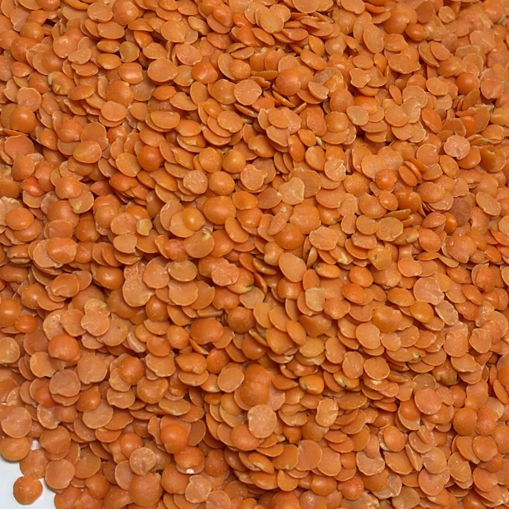 Red lentils Split/Masoor Dahl