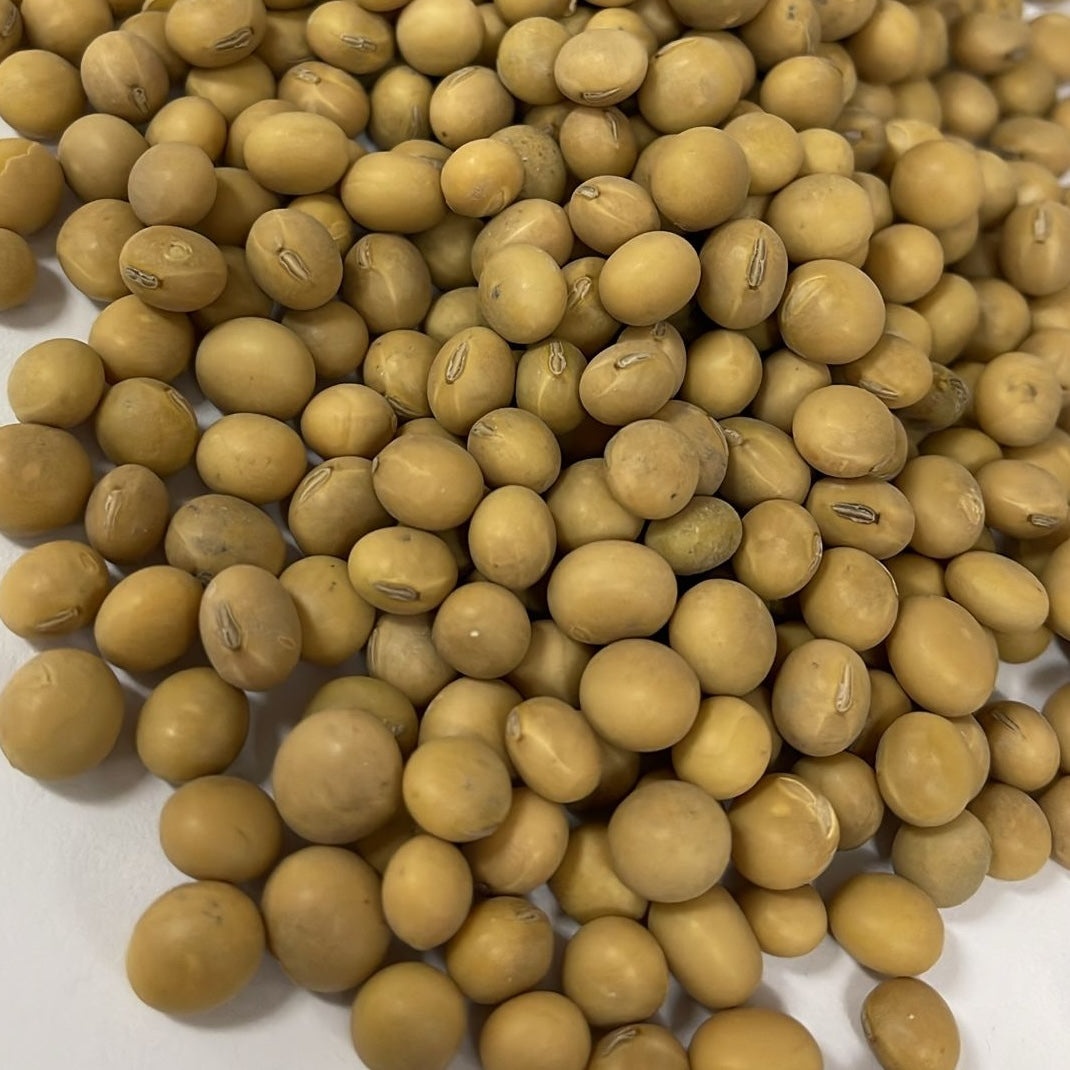 Soy Beans