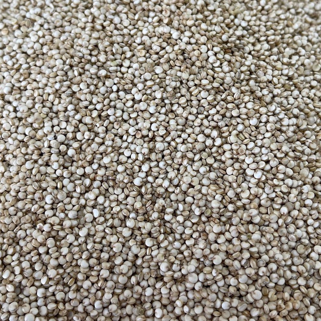 Kiwi Quinoa White