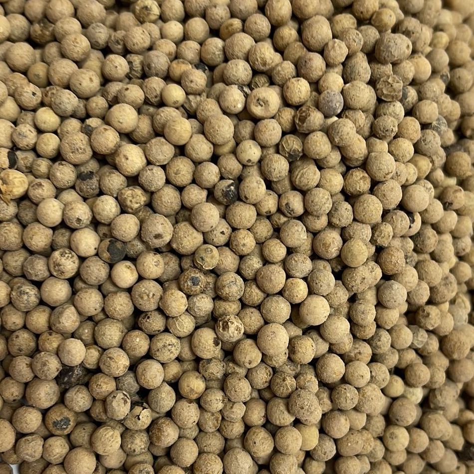 White Peppercorns