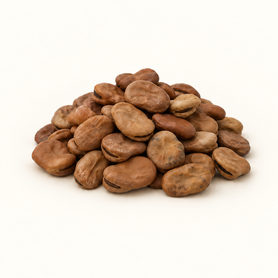 Dried Broad Beans