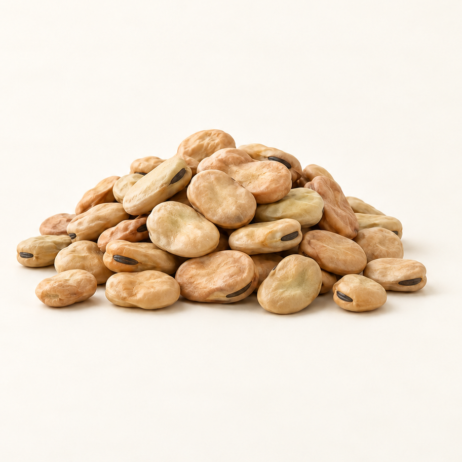 Fava (Faba) Beans